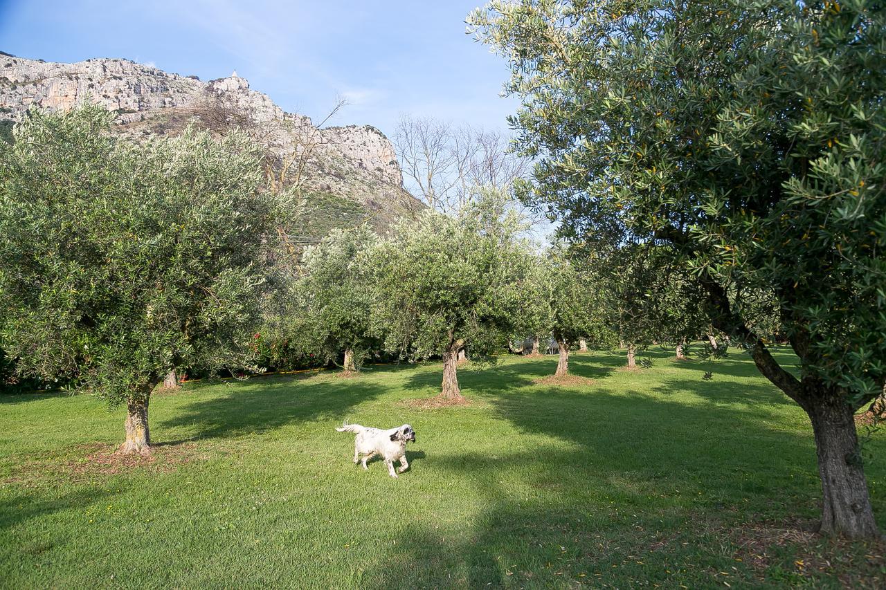 Belvedere Monte Leano ξενώνας Terracina Εξωτερικό φωτογραφία